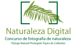 IV Concurso Internacional de Fotografía de Naturaleza
