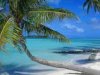 Cuba busca proteger sus playas