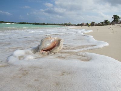 Cuba presenta novedades en Saln Mundial de Turismo.