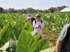 Redisean opciones del turismo rural en Cuba