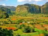 Viales