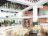 Imagen 3 Hotel Allegro Palma Real