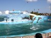 Acuario Nacional de Cuba será un parque temático de primer nivel.