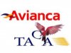 Aerolinea Avianca Taca inaugura conexion con La Habana
