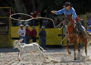 Aspiran a potenciar rodeo cubano como actividad turstica