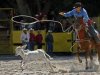 Aspiran a potenciar rodeo cubano como actividad turstica