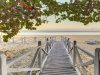 Cayo Coco, una «Isla en el Golfo» que enamoró a Hemingway.