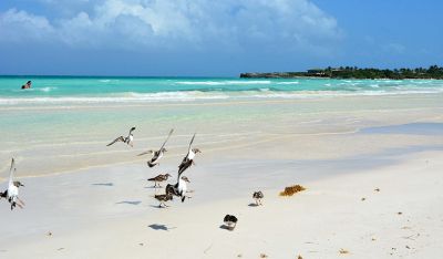 Certifican instalaciones de Jardines del Rey con vistas a reinicio del turismo.