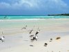 Certifican instalaciones de Jardines del Rey con vistas a reinicio del turismo.