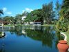 ¿Cuáles son los eventos más perseguidos por los turistas en Cuba?