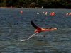 Cuba: Laguna de Guanaroca atrae a ms turistas extranjeros