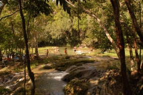 Cuba: Opciones por la ruta de la naturaleza