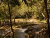 Cuba: Opciones por la ruta de la naturaleza