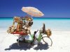 Se dispara el turismo en Cuba: cerca del 16% de crecimiento