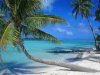 Empresas chilenas y argentinas apuntan al turismo cubano