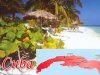 Feria de turismo cubana demostrar desarrollo de negocios