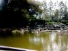 Jardn Botnico espirituano busca atraer turismo cubano e internacional