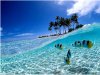 Los 15 mejores cayos en Cuba para relajarte: No dejes de visitarlos.