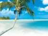 Nuevo enlace areo Europa-Cuba para el turismo