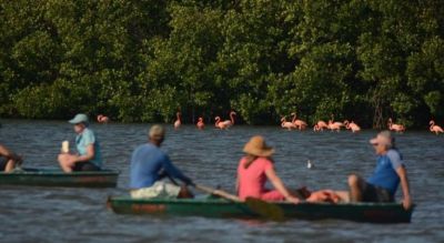 Preparan ofertas para evento de turismo de naturaleza de Cuba.