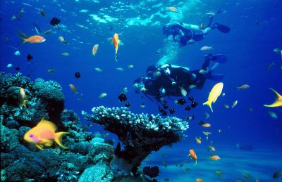 Propone Viajes Cubanacn aventura por fondo marino cubano