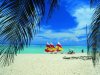 Varadero: mejor hotel de este balneario operar bajo la marca Royalton
