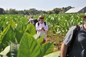 Redisean opciones del turismo rural en Cuba
