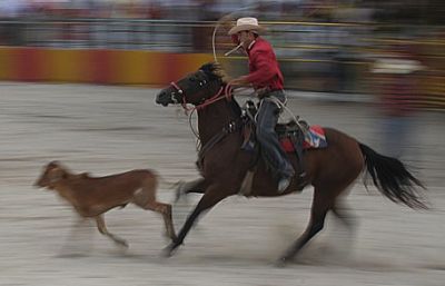 Rodeo ser ampliado para atraer turistas a Cuba