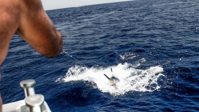 Torneo Internacional de Pesca de la Aguja Ernest Hemingway.