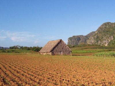 Tradiciones tabacaleras entre atractivos del turismo en Cuba