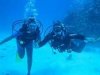 Turismo de Cuba recomienda más de 500 zonas para buceo